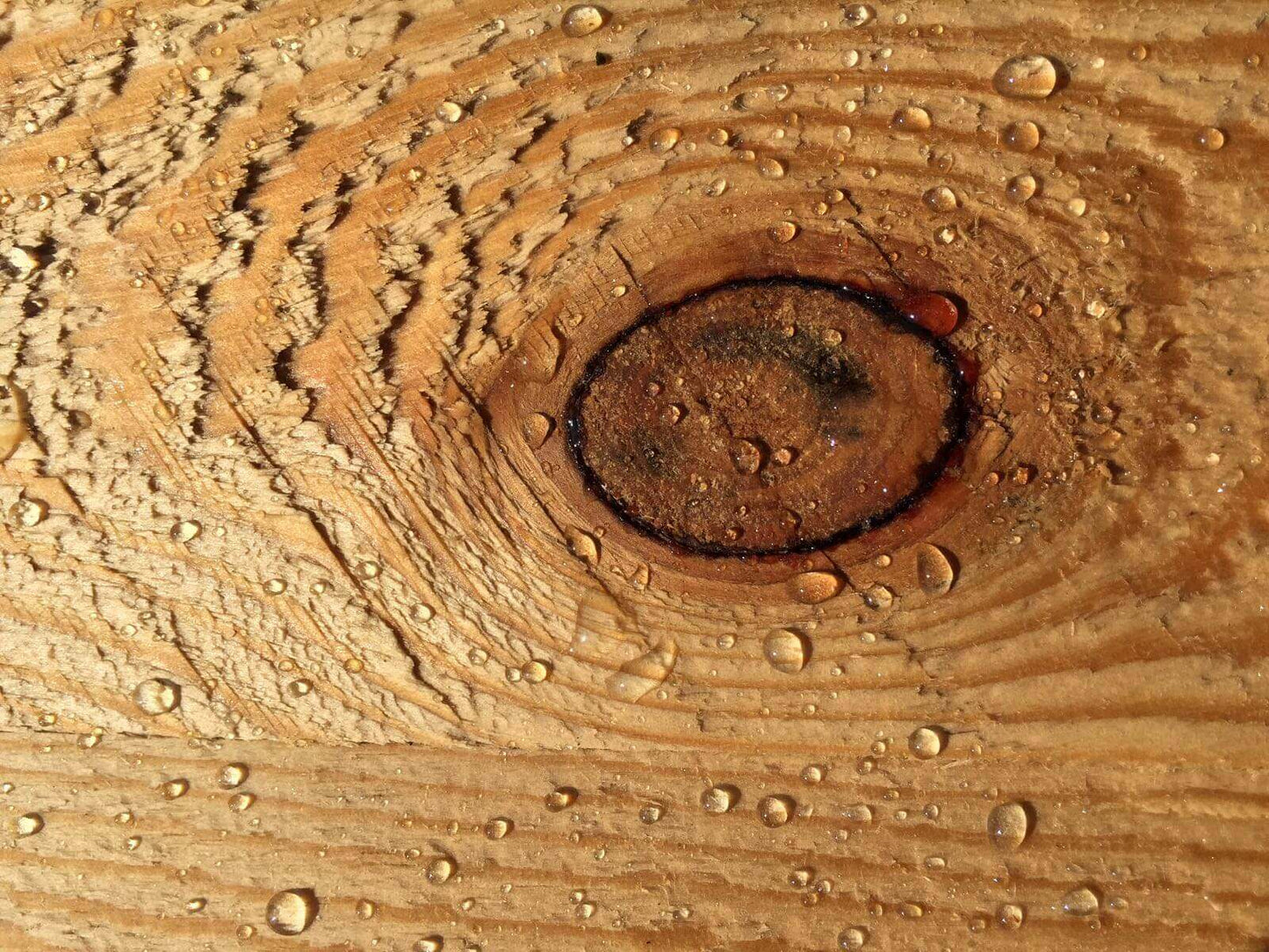WOODCON | Hout impregneren